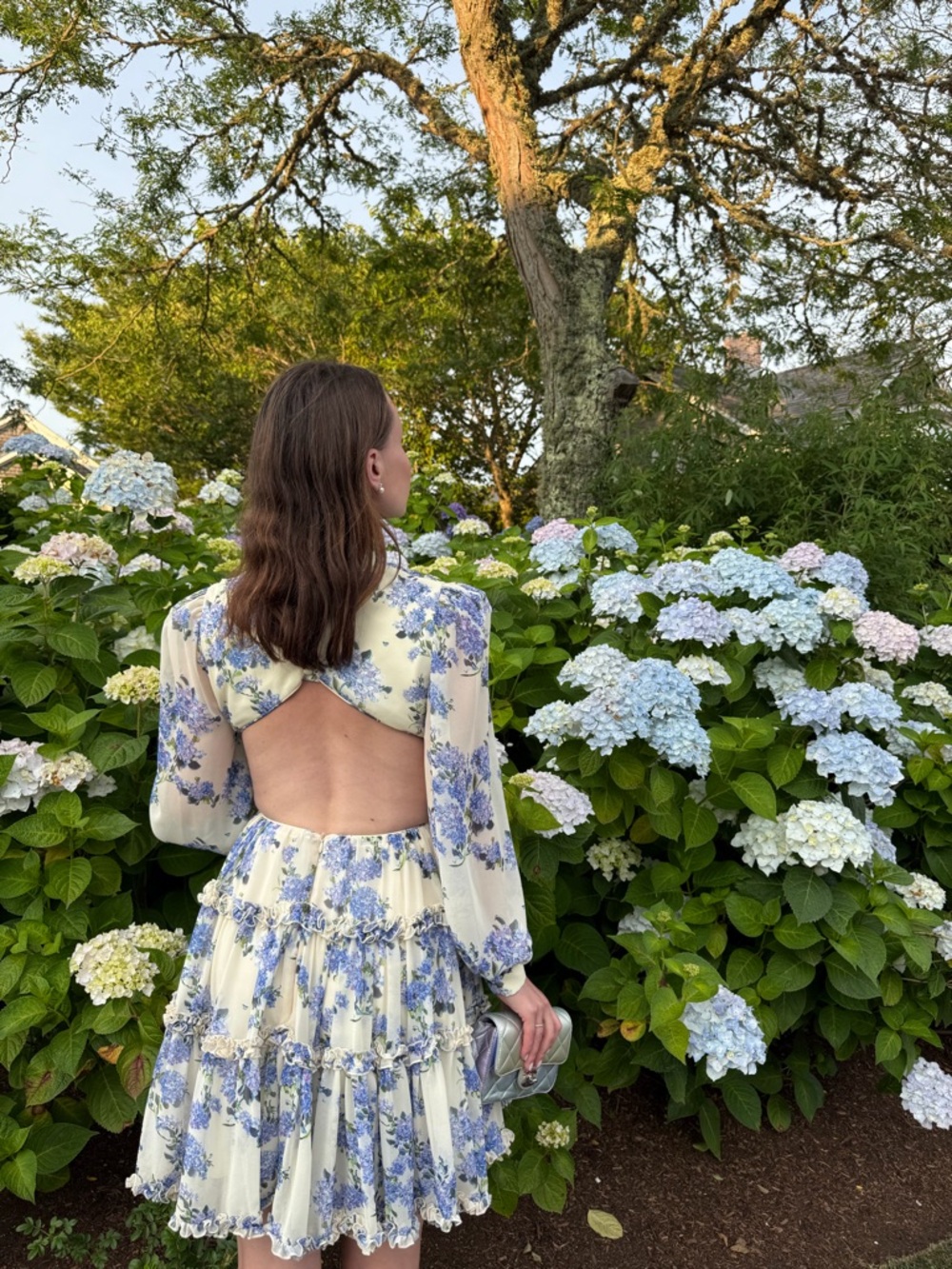 MillaNova Cream and Blue Floral Long Sleeve Open-Back Dress